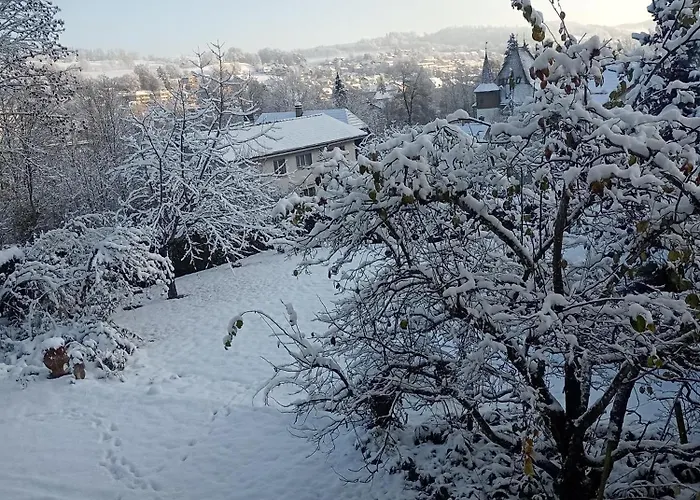 Apartamento Casa Nemea *